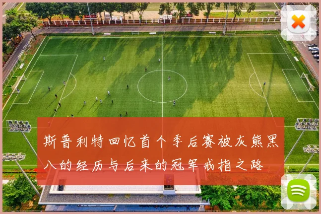 斯普利特回忆首个季后赛被灰熊黑八的经历与后来的冠军戒指之路